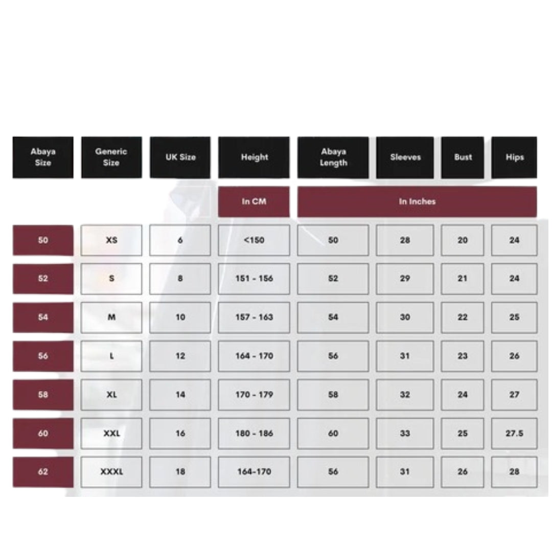 Pack of 3 Premium Georgette Abaya with Stoles All Sizes Available l Article 3281